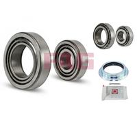 Kit Cuscinetto Ruota FAG - 713678500