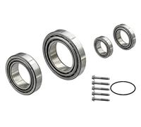 FAG 713 6971 20 Kit cuscinetto ruota