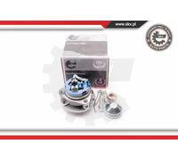 Cuscinetto ruota Assale anteriore 29SKV003 ESEN SKV per OPEL LOTUS