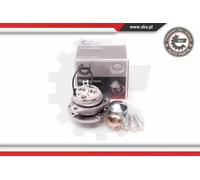 ESEN SKV Kit cuscinetto ruota