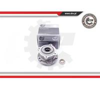 Cuscinetto ruota Assale anteriore 29SKV176 ESEN SKV per BMW X6 X5