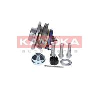 Cuscinetto ruota Assale anteriore 5500061 KAMOKA per OPEL CHEVROLET