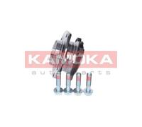 KAMOKA Cuscinetto Ruota Set Cuscinetto Anteriore Kit Ruota per BMW 5er E39