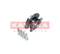 Cuscinetto ruota Assale anteriore 5500132 KAMOKA per BMW 5 5 Touring 6