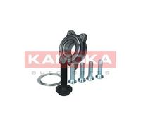 Cuscinetto ruota Assale anteriore 5500176 KAMOKA per AUDI A6 C6 Avant A6 C6 R8