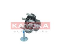 Cuscinetto ruota Assale anteriore 5500244 KAMOKA per FORD LAND ROVER