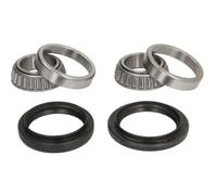 Cuscinetto ruota Assale anteriore bilaterale H1G003BTA BTA per FORD ESCORT IV