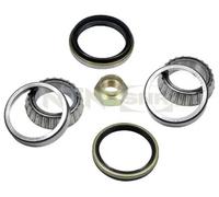 SNR R170.09 Kit cuscinetto ruota