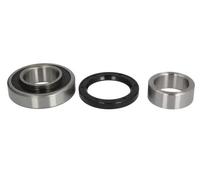 Cuscinetto ruota Assale post. bilaterale H28030BTA BTA per SUZUKI GRAND VITARA I
