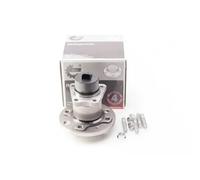 Cuscinetto ruota Assale posteriore 29SKV007 ESEN SKV per OPEL DAEWOO