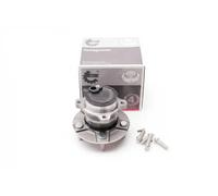 Cuscinetto ruota Assale posteriore 29SKV013 ESEN SKV per FORD FOCUS II Turnier