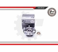 Cuscinetto ruota Assale posteriore 29SKV292 ESEN SKV per HONDA CIVIC IX
