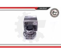 Cuscinetto ruota Assale posteriore 29SKV293 ESEN SKV per KIA HYUNDAI