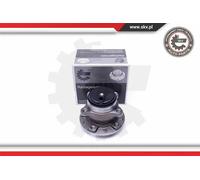 Cuscinetto ruota Assale posteriore 29SKV406 ESEN SKV per CITROËN PEUGEOT OPEL