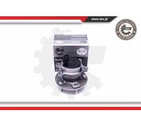 Cuscinetto ruota Assale posteriore 29SKV416 ESEN SKV per FORD FOCUS III