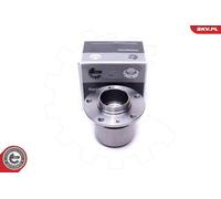 ESEN SKV Ruota Posteriore per Peugeot Expert Box 2.0 Bluehdi 120 4x4