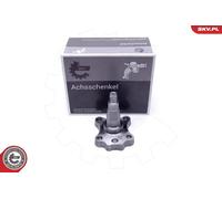 ESEN SKV Cuscinetto ruota 29SKV995 Assale posteriore per PEUGEOT, FIAT, CITROËN