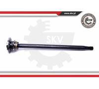 Cuscinetto ruota Assale posteriore 29SKV999 ESEN SKV per MERCEDES-BENZ VW