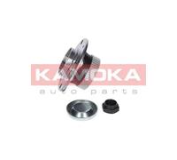 Originale KAMOKA Kit Cuscinetto Ruota 5500003 per Peugeot