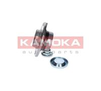 KAMOKA Set Cuscinetti Posteriore per Peugeot 307 3A/C Citroën C4 Coupe La _