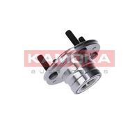 Cuscinetto ruota Assale posteriore 5500014 KAMOKA per MITSUBISHI PROTON