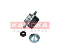 KAMOKA Kit Cuscinetto Ruota Posteriore per Fiat 500 C 312 _ Ford Ka RU8