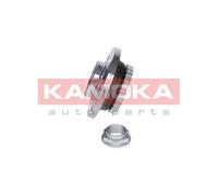 KAMOKA Set Cuscinetti Posteriore per Citroën Berlingo Box M