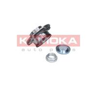 KAMOKA Set Cuscinetti Posteriore per Citroën C3 III SX Peugeot 407 Sw 6E_