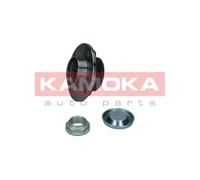 KAMOKA Cuscinetto Ruota Set Kit Posteriore per Citroën C5 I Break De _