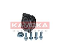 Cuscinetto ruota Assale posteriore 5500187 KAMOKA per BMW X5 X6