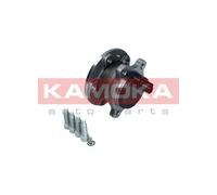 Cuscinetto ruota Assale posteriore 5500373 KAMOKA per VOLVO V60 I V70 III S80 II