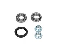 Cuscinetto ruota Assale posteriore 5600010 KAMOKA per FORD MAZDA