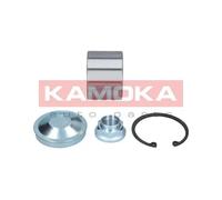 KAMOKA Set Cuscinetti Posteriore per Nissan Primastar Kasten X83