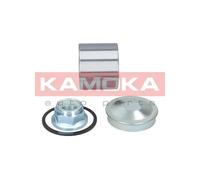 Cuscinetto ruota Assale posteriore 5600067 KAMOKA per RENAULT DACIA