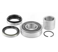 NTN-SNR Kit cuscinetto ruota R141.38 per Opel e Isuzu, Posteriore