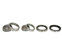 Cuscinetto ruota Assale posteriore H10304BTA BTA per KIA CARNIVAL II CARNIVAL I