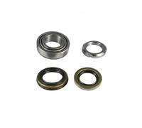 BTA H20311BTA Kit cuscinetto ruota