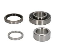 Set di cuscinetti ruota BTA H28000BTA