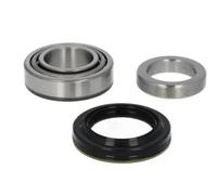 Cuscinetto ruota Assale posteriore H2Y013BTA BTA per JEEP RENAULT