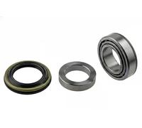 NTY Kit cuscinetto ruota KLT-NS-090 compatibile con Jeep e Nissan posteriore