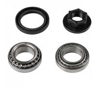 JP Group Kit cuscinetto ruota 1551300110 posteriore sinistro per Ford, Mazda