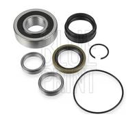 Blue Print Kit cuscinetto ruota ADBP820014, posteriore Sx cuscinetto a rulli conici