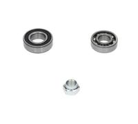 Kavo Parts Kit cuscinetto ruota WBK-8514 assale posteriore per Suzuki SX4
