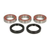 KIT CUSCINETTI RUOTA POSTERIORE+PARAOLIO CRF 250 R 2004>2013