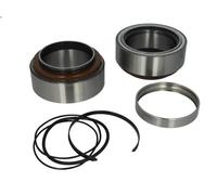 Cuscinetto ruota BTA B01-1801594 per DAF CF 65 6.691 2006-2013