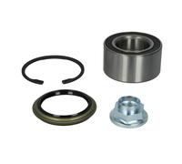 Cuscinetto ruota BTA H10313BTA