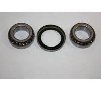 Cuscinetto ruota Cuscinetto a rulli 110013810 AUTOMEGA per FORD MAZDA