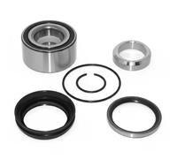 DAYCO KWD1400 Kit cuscinetto ruota
