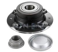 Set di cuscinetti ruota SNR R159.42