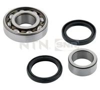 Set di cuscinetti ruota SNR R177.13